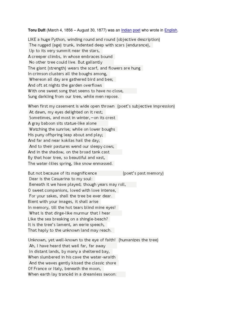 Our casuarina tree questions answers picture