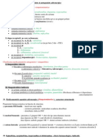 Sistemul Adrenergic