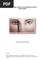 100450514-Curso-de-Design-Simetria-com-aplicacao-de-henna-–-Sobrancelhas