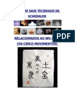 Os Doze Sais Teciduais de Schussler Aplicados A Terapia Tradicional Chinesa