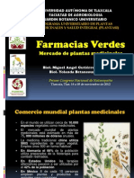 Farmacias Verdes Mercado Plantas Medicinales