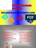 Activul Patrimonial