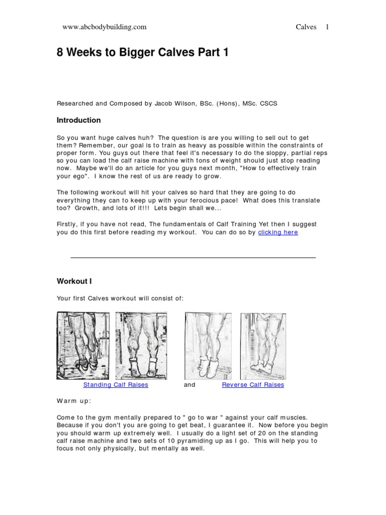 8 Weeks To Bigger Calves 1 Pdf Calf Physical Exercise