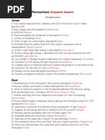 Photosynthesis Crossword Answers