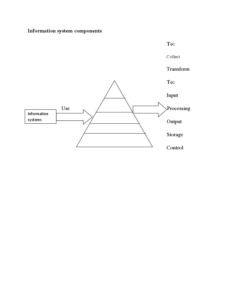 Information System Components To:: Transform | PDF