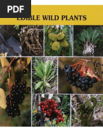 Download edible wild plants by cagedraptor SN119264132 doc pdf