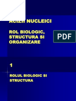 ADN Rol Structura Organizare(1)