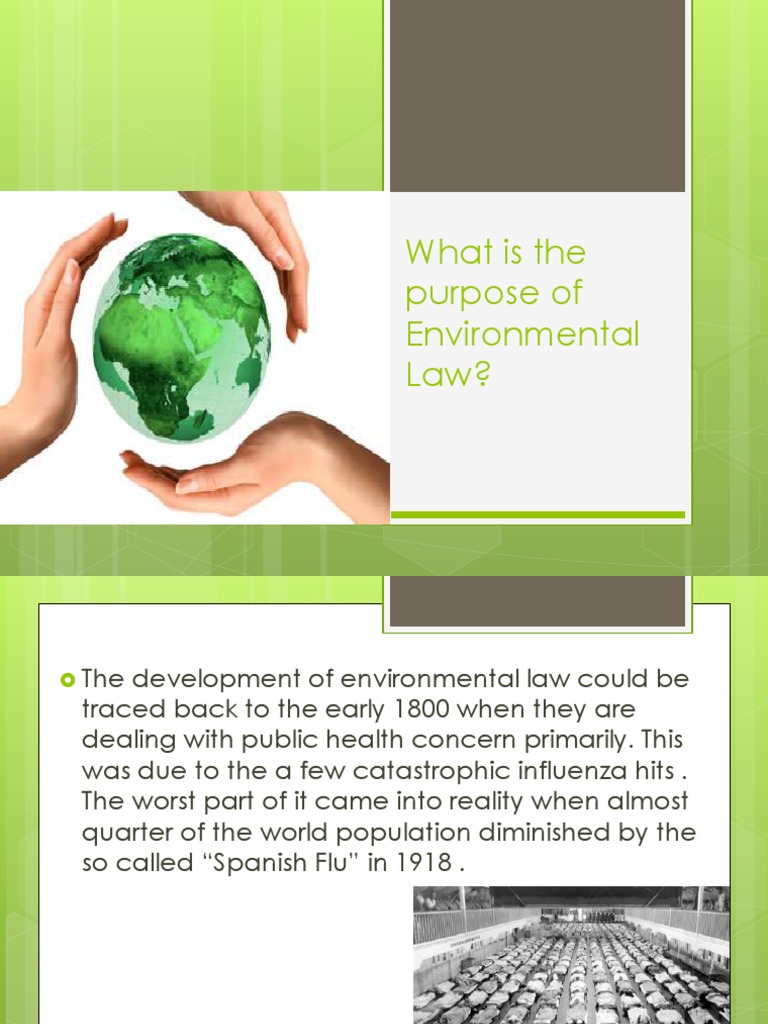 What Is The Purpose of Environmental Law PDF Environmental Law