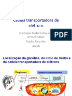 aula cadeia transportadora de eletrons