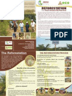 Folleto Final Reforestacion Ingles