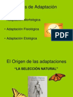 3 Tipos Adpataciones