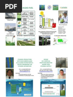 Download Folder - La Wahie Biotech Inc - 201108 by HANS-JRGEN FRANKE SN11931183 doc pdf