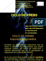 Clase Ciclo de Krebs