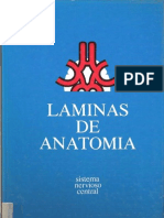 Láminas_d..