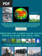 Download Apresentao Ethanol From Algae - South-Africa - Workshop by HANS-JRGEN FRANKE SN11933876 doc pdf