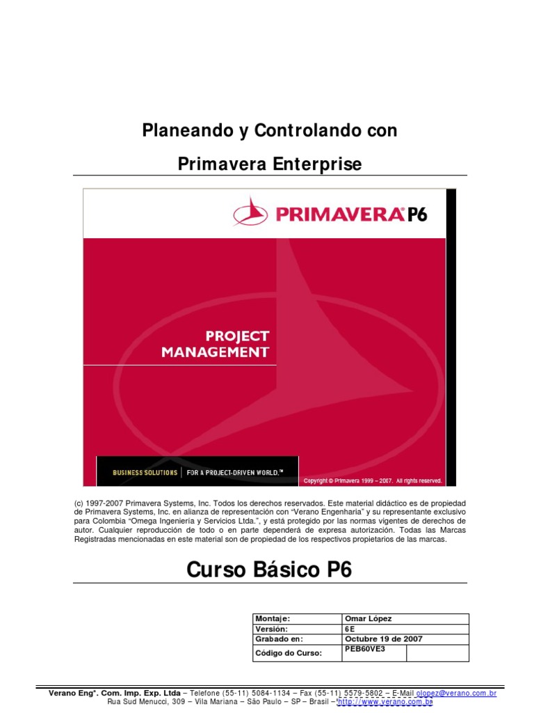 Manual Primavera 6 | PDF