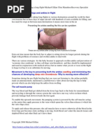 Download Baby Boomers Long Flights by Michael Gillan SN11934631 doc pdf