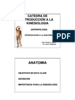 Introduccion a La Anatomia Kinesiologia