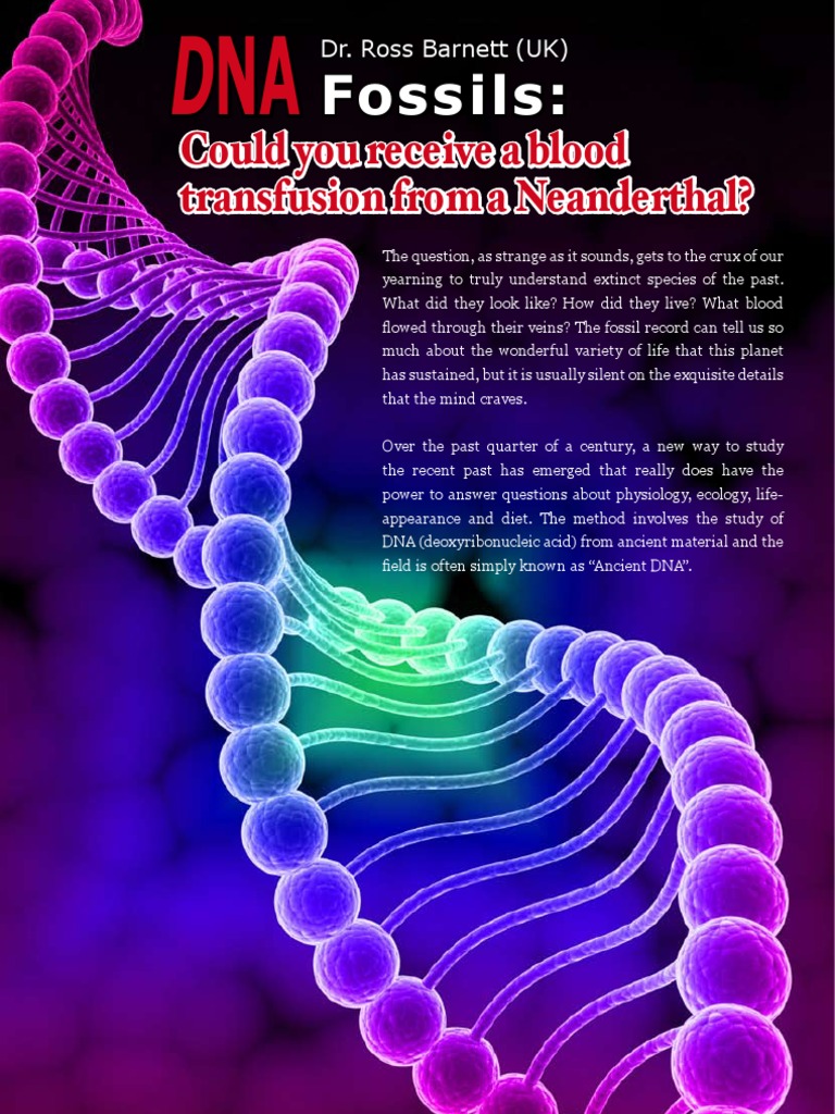 DNA Fossils Could you receive a blood transfusion from a Neanderthal