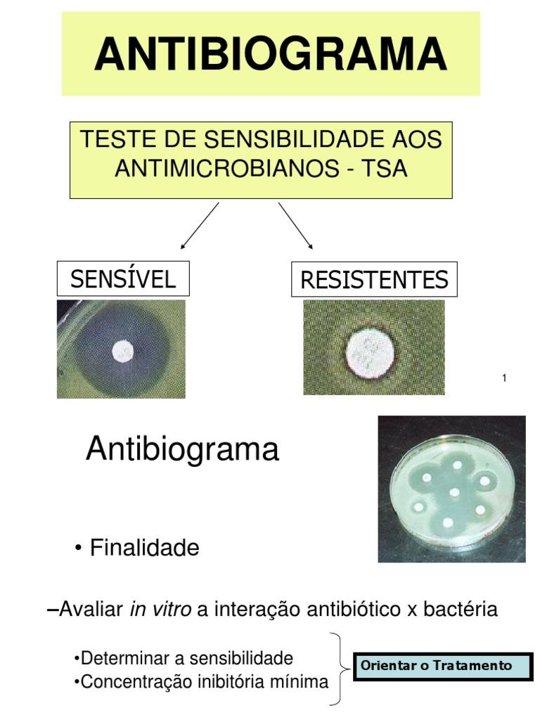 Antibiograma | PDF | Ágar | Ciências da Saúde