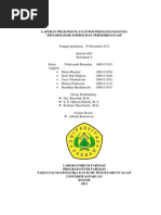 Download jurnal metabolisme by Putri Andari SN119420185 doc pdf