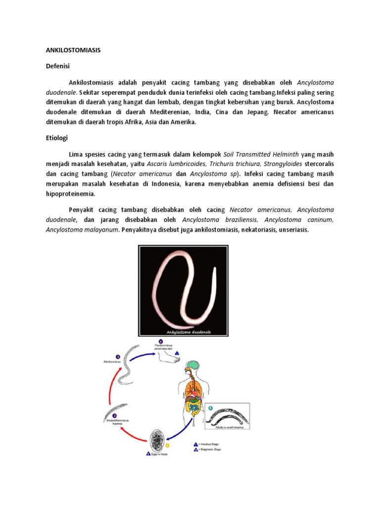ANKILOSTOMIASIS