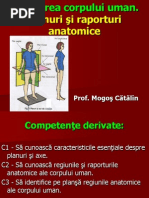 Filehost - Planuri Si Raporturi Anatomice (Prezentare Catalin)