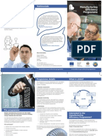 Manufacturing Efficiency Programme 2012 - 2013