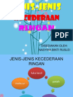 JENIS KECEDERAAN RINGAN