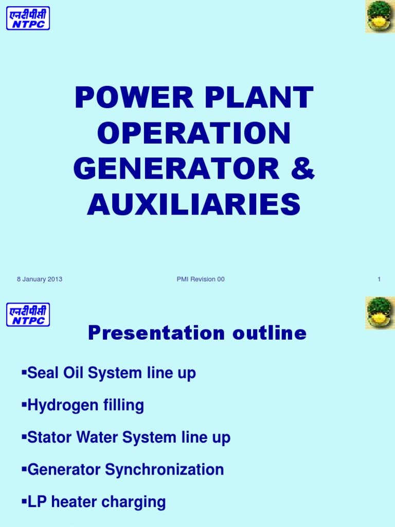 Power Plant Generator Operation Guide | PDF | Electric Power | Gases