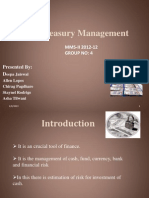 Treasury Management - Final 1