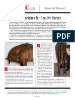 Top 5 Stretches for Healthy Horses 30240