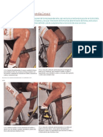 Musculacion y Pedaleo