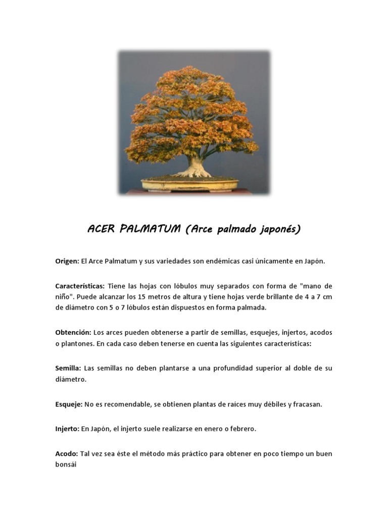 Como construir puerta automatica para gallinero