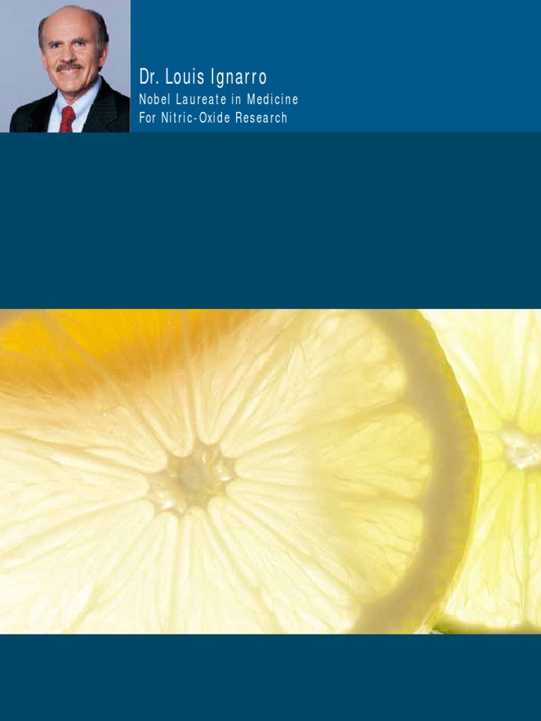 Niteworks Manual PDF | PDF