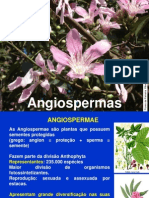 Aula Angiosperma 1a. Parte