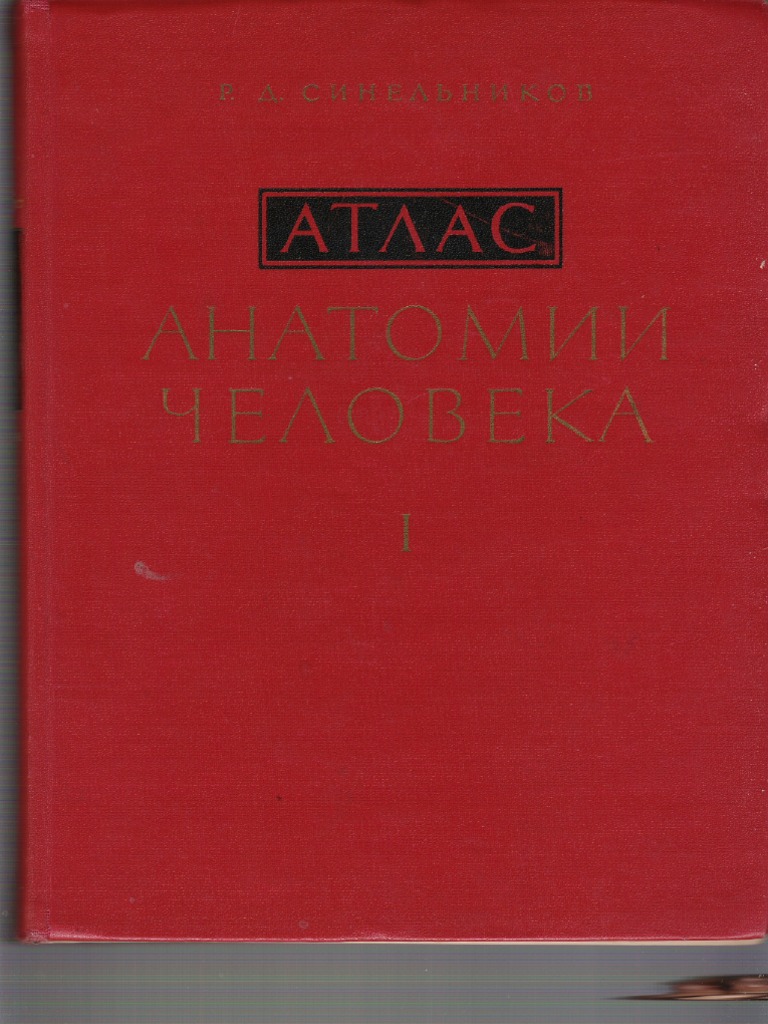 Sinelnikov, Atlas de Anatomie, Vol. 1, Part 1