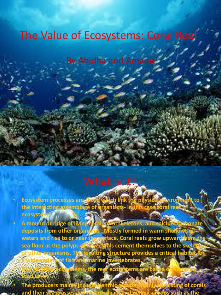 The Value of Ecosystems Coral Reefs Coral Reef Coral