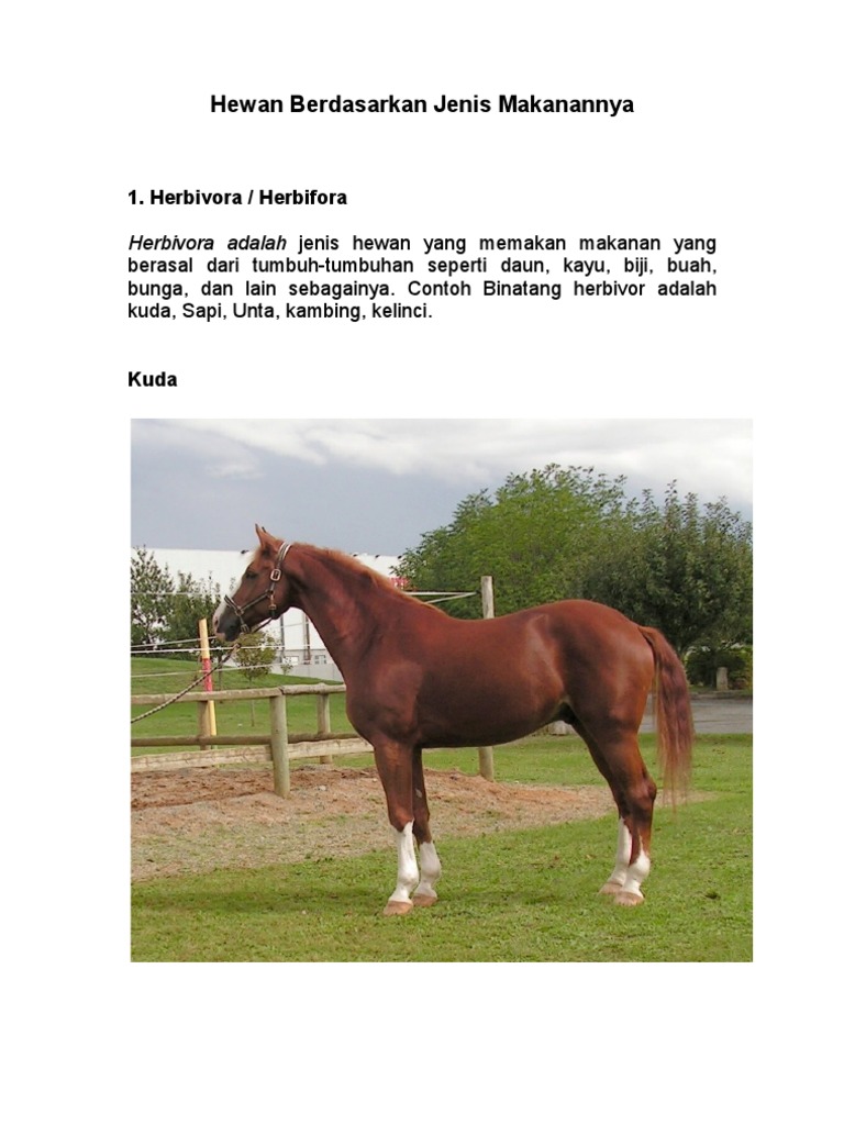 Hewan Berdasarkan Jenis Makanannya