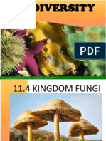 11.4 Kingdom Fungi 0.5 Hour