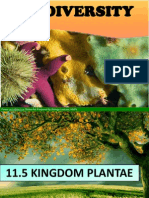 11.5 Kingdom Plantae-Bryophytes Pteridophytes 1 Hour .Pptnew