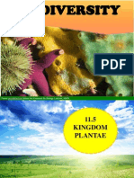 11.5 Kingdom Plantae-Gymnosperms Angiosperms 1 Hour