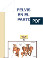 Pelvis 110329125632 Phpapp02