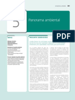 Panorama Ambiental