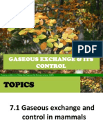 Hour 1-Gaseous Exchange