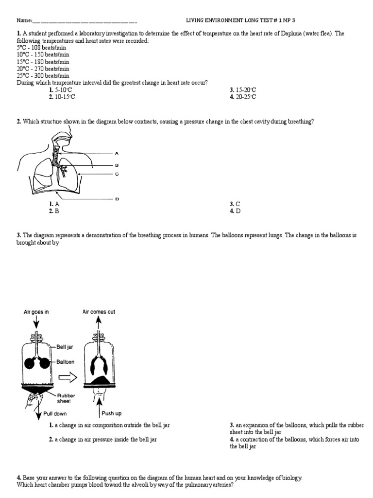 Human Body System Regents Questions