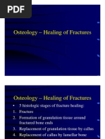 Download Healing of Fractures by Tracy SN11959524 doc pdf