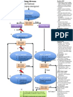 Algoritma Resusitasi Jantung Paru