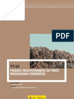 Pinares Mediterráneos