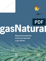 Absorsion A Gas A Natural
